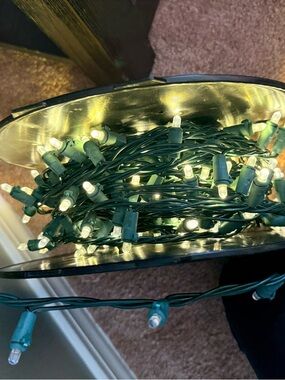 Kirkland Signature Warm White LED String Lights with Green Wire